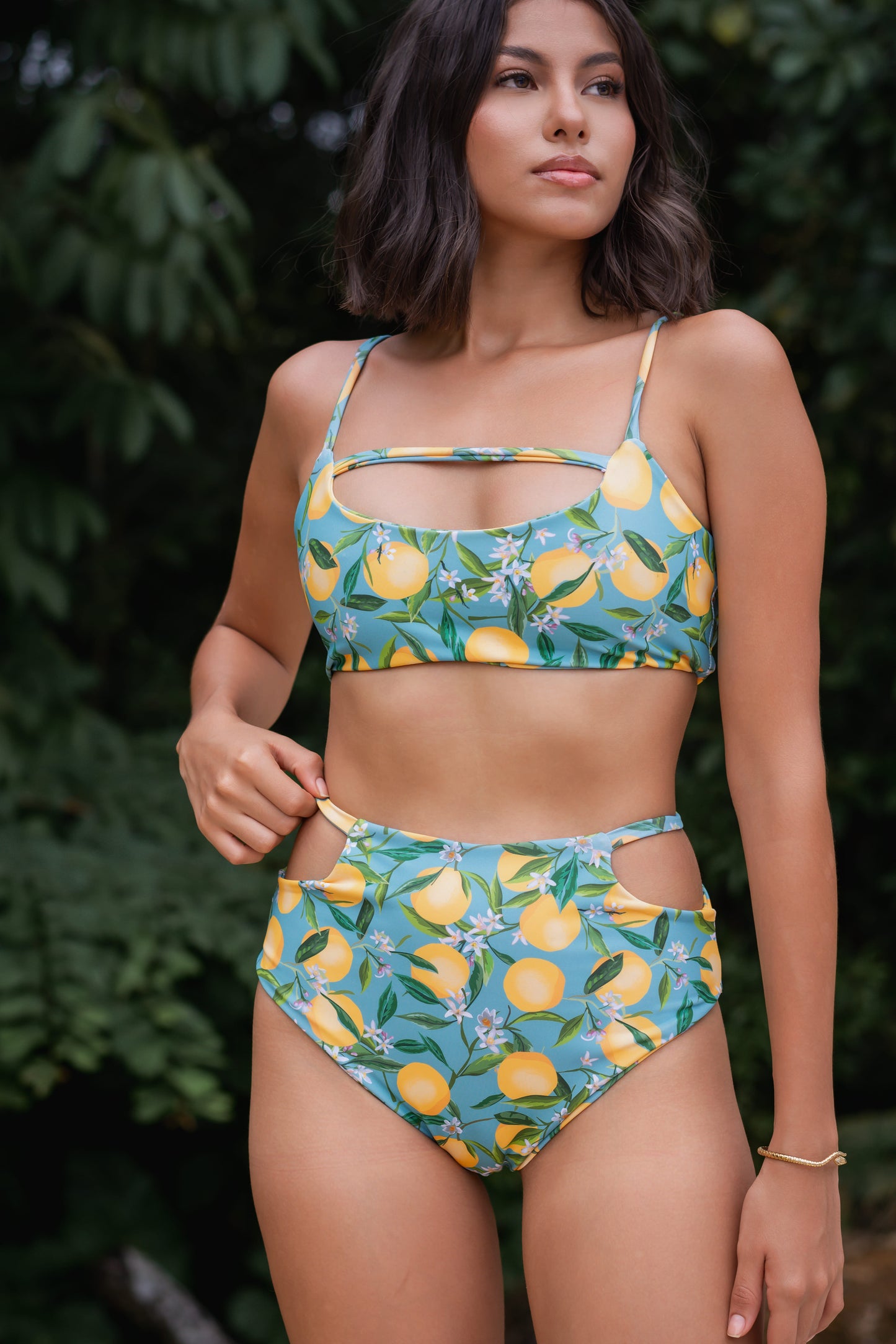 Set Cut Out Arazá