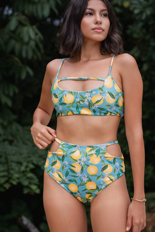 Set Cut Out Arazá